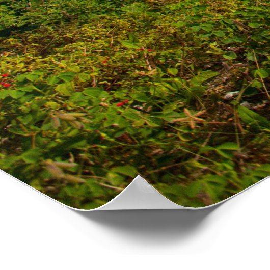 Jägergrün Poster (Ecke)