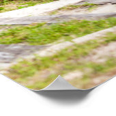 Jägergrün Poster (Ecke)