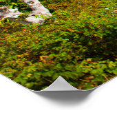 Jägergrün Poster (Ecke)