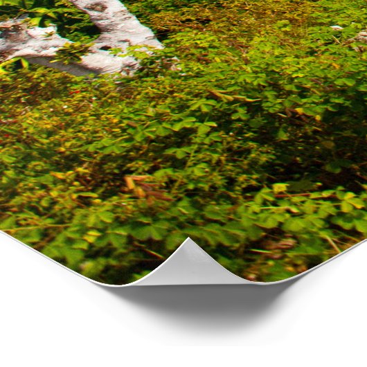 Jägergrün Poster (Ecke)