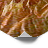 Jägerhund mit Vogel im Mund Poster (Ecke)