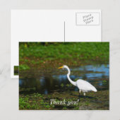 Jägerin Egret Vielen Dank Postkarte (Vorne/Hinten)