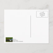 Jägerin Egret Vielen Dank Postkarte (Rückseite)