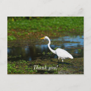 Jägerin Egret Vielen Dank Postkarte
