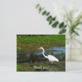 Jägerin Egret Vielen Dank Postkarte (Stehend Vorderseite)