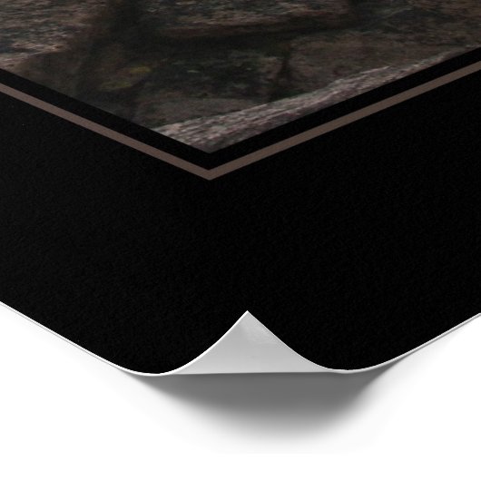 Jagged Longs Peak Trail (kein Text) Poster (Ecke)