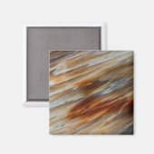 Jagged Petrified Wood Magnet (Vorderseite/Rückseite)