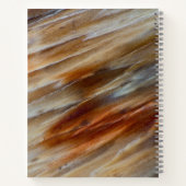 Jagged Petrified Wood Notizblock (Rückseite)