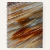 Jagged Petrified Wood Notizblock (Vorderseite)