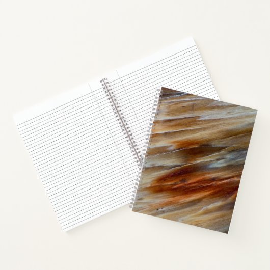 Jagged Petrified Wood Notizblock (Innenseite)