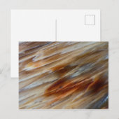 Jagged Petrified Wood Postkarte (Vorne/Hinten)