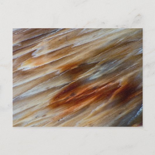 Jagged Petrified Wood Postkarte (Vorderseite)
