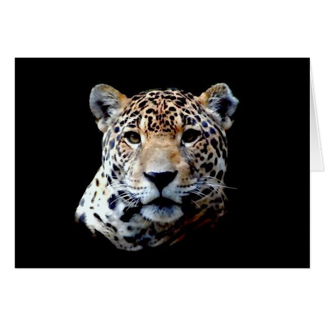 Jaguar (Vorderseite (Horizontal))