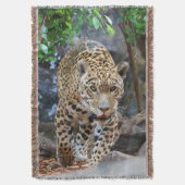 Jaguar20150501 Decke (Vorderseite Vertikal)