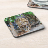 Jaguar20150501 Untersetzer (Linke Seite)