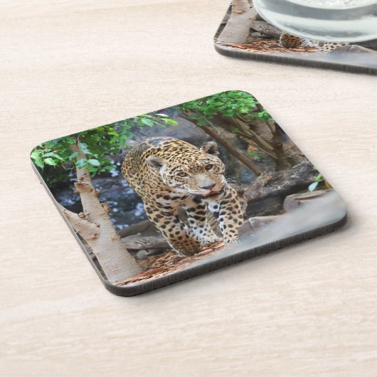 Jaguar20150501 Untersetzer (Linke Seite)