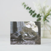 Jaguar # 18 postkarte (Stehend Vorderseite)