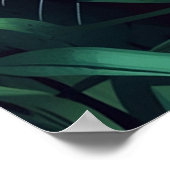 JAGUAR #1 POSTER (Ecke)