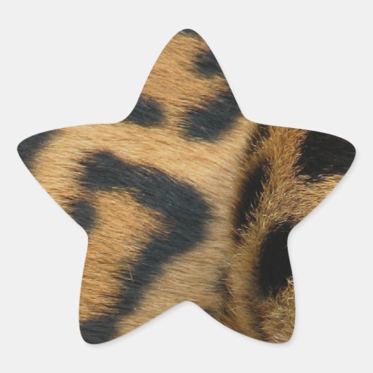 Jaguar-1 Stern-Aufkleber (Vorderseite)