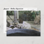 Jaguar # 35 postkarte (Vorne/Hinten)