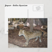 Jaguar # 3 postkarte (Vorne/Hinten)