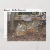 Jaguar # 9 postkarte (Vorne/Hinten)