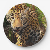 Jaguar Adoleszenz Pappteller (Vorderseite)