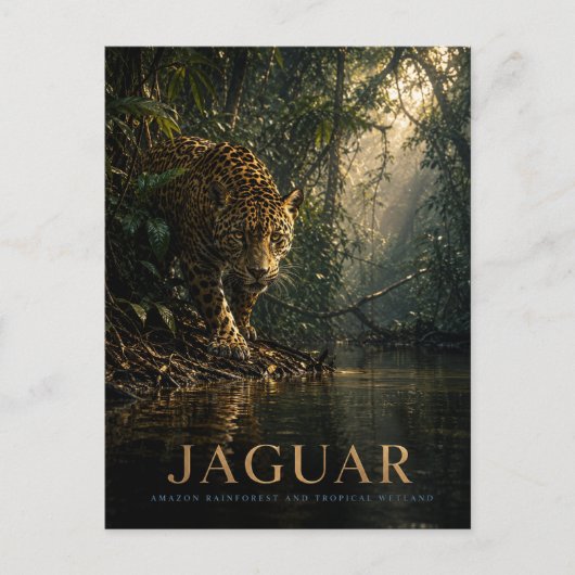 Jaguar Amazonas-Regenwald TIERE Postkarte (Vorderseite)