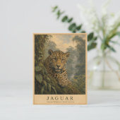 Jaguar Amazonas-Regenwald VINTAGE Postkarte (Stehend Vorderseite)