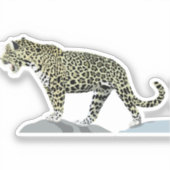 Jaguar-Animal-Cat-Wild-Dschungel Aufkleber (Vorderseite)