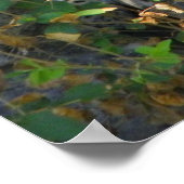 Jaguar auf nahen Ganzkörperschuss Poster (Ecke)