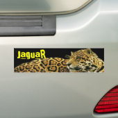 Jaguar Autoaufkleber (Auf Auto)