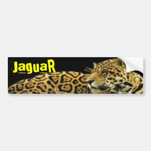 Jaguar Autoaufkleber