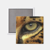 JAGUAR Big Cat Wildlife Magnet (Vorderseite/Rückseite)