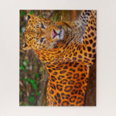 Jaguar Big Cats . Puzzle (Vertikal)