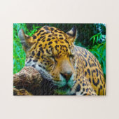Jaguar Big Cats . Puzzle (Horizontal)