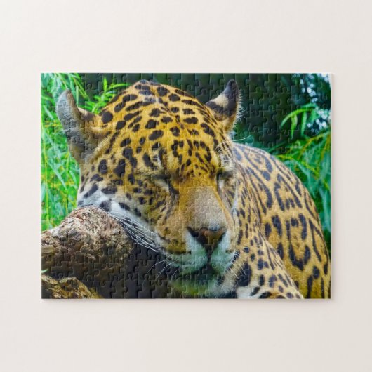 Jaguar Big Cats . Puzzle (Horizontal)