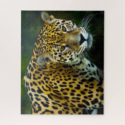 Jaguar Big Cats . Puzzle (Vertikal)