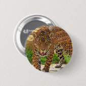 Jaguar Button (Vorne & Hinten)