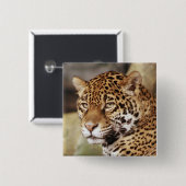 Jaguar Button (Vorne & Hinten)