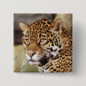 Jaguar Button (Vorderseite)