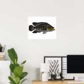 Jaguar Cichlid Poster (Heimbüro)