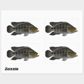 Jaguar Cichlid Rechteckiger Aufkleber (Blatt)