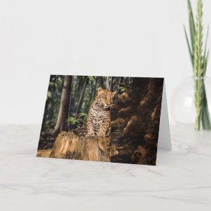 Jaguar Cub Greeting Card Karte