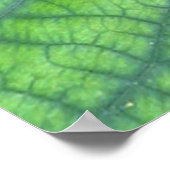 Jaguar der Erde Poster (Ecke)