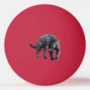 Jaguar Diablo 1 Sterne Rote Tischtennisball