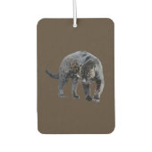 Jaguar Diablo, Braun-Auto-Lufterfrischer Autolufterfrischer (Vorderseite)