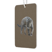 Jaguar Diablo, Braun-Auto-Lufterfrischer Autolufterfrischer (Links)