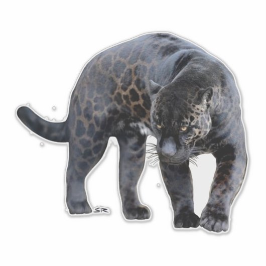 Jaguar Diablo contour sticker (Vorderseite)
