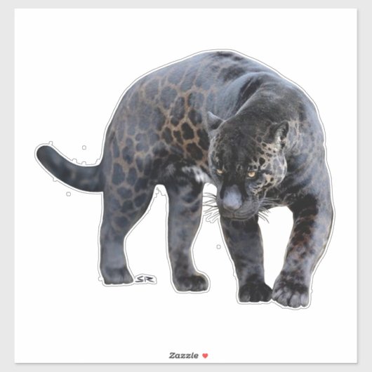 Jaguar Diablo contour sticker (Blatt)